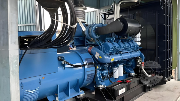 Remote network management system for diesel generator sets