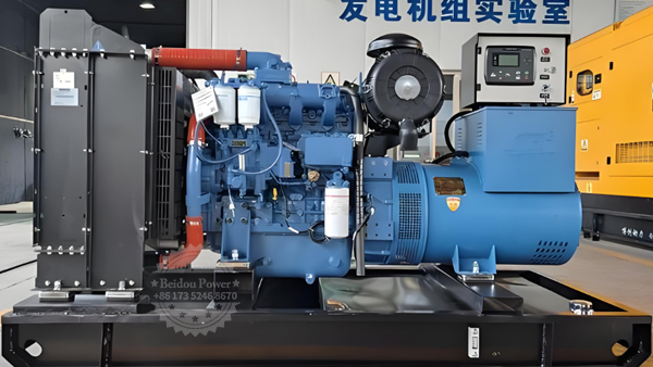 The inspection method for the insulation of the generator rotor and the handling method for the decrease in resistance