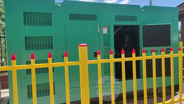 Selection of Emergency Diesel Generators