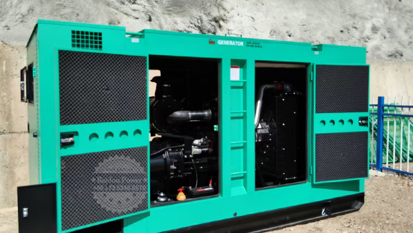Diesel Generator Set Specification