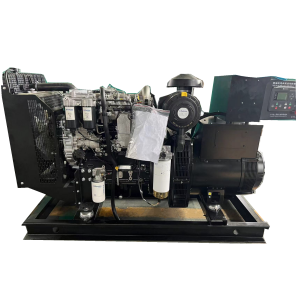 Sinis Manufacturer 200KVA Perkins Diesel Generator Set cum Professional servitium