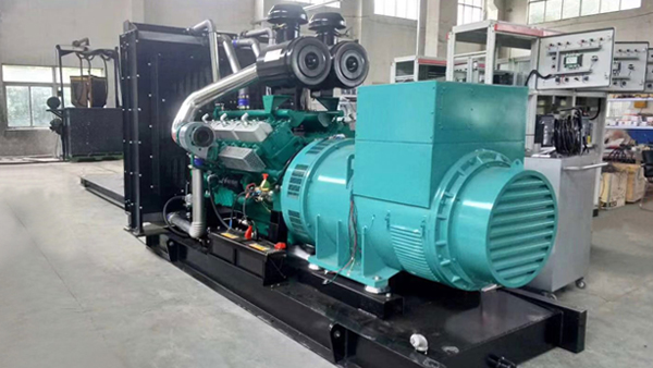 What are the options for backup diesel generators?