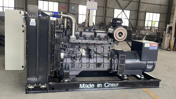 Daily check diesel generator set matters?